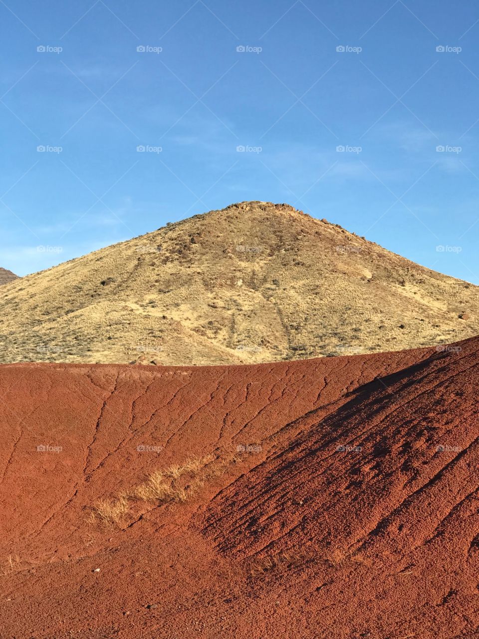 The incredible beauty of the red, gold, and browns of the textured Painted Hills in Eastern Oregon on a bright sunny day.