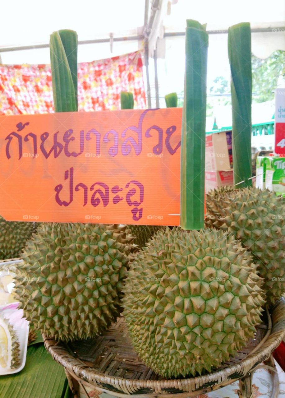 Thai Kan Yao Durains. Exotic fruit.