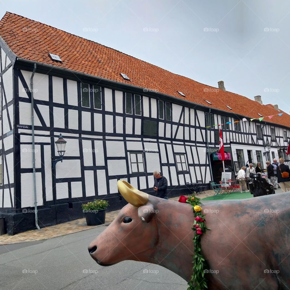 grocery store bogense