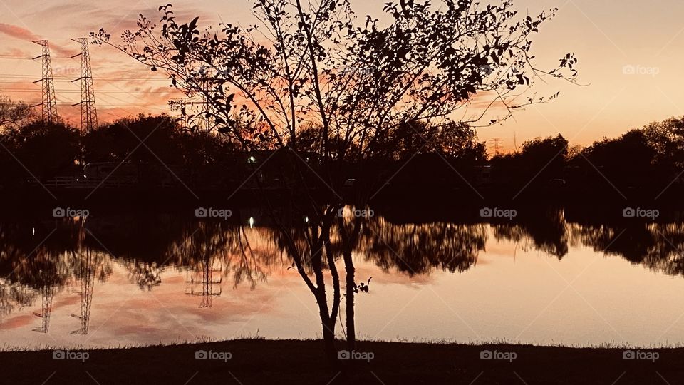 Crepe Myrtle stationed along the bank of the lake is holding some leaves. Without harsh cold we can use this tree for positions along the shore.