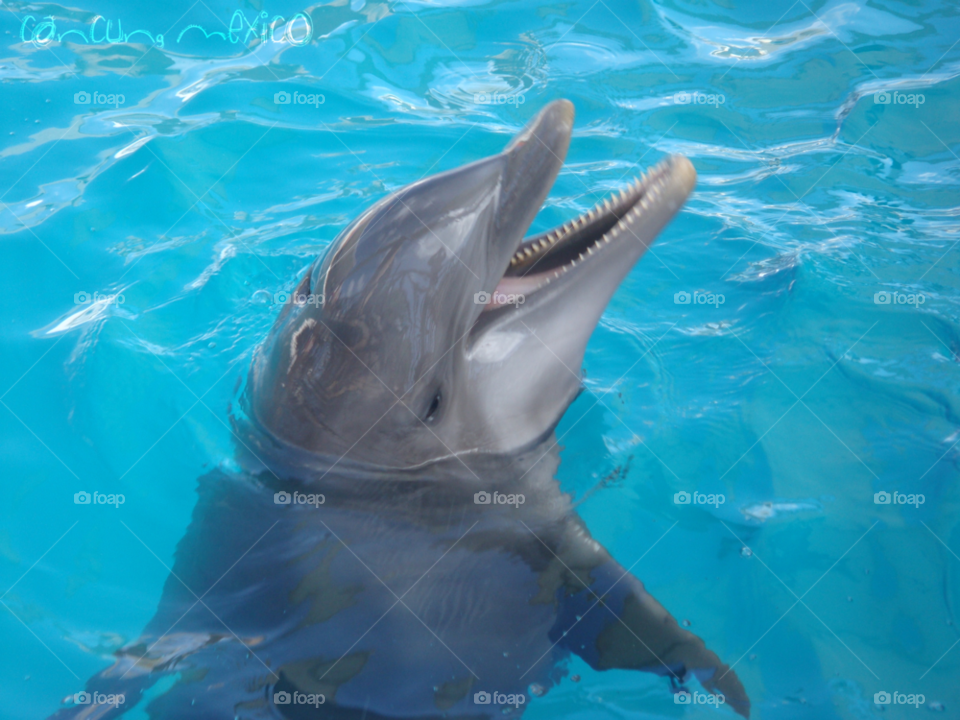 mexico yucatan cancun playa del carmen beach ocean sky by StyleDone