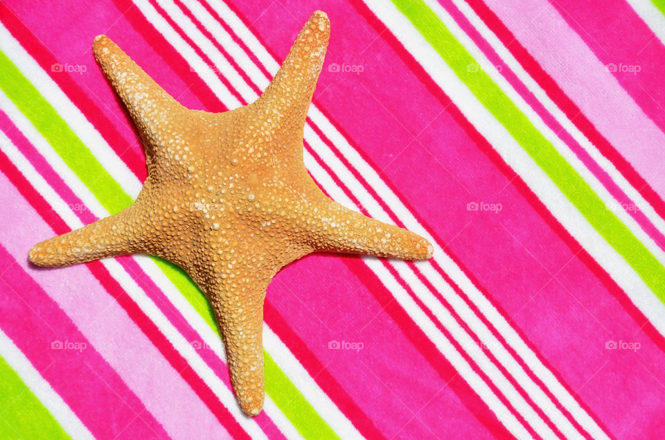 Large starfish against a pretty pink striped beach towel. 
