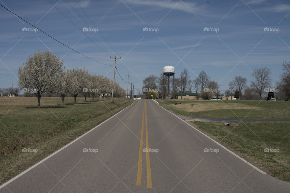 Road into Hohenwald, Tennessee 