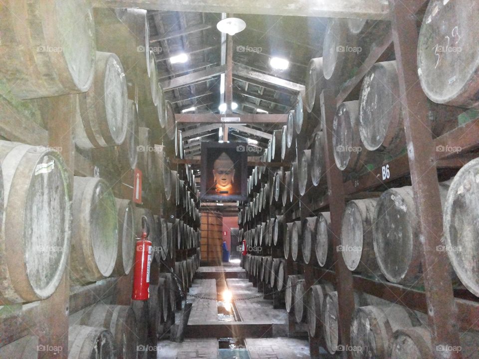 Amazing tunnels of drink