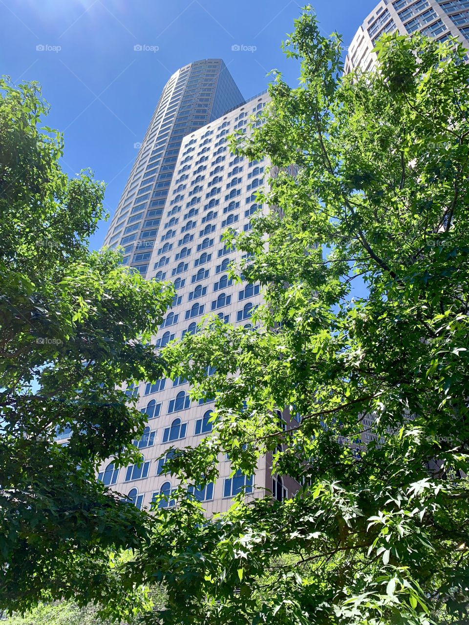 Tree, Leaf, No Person, Architecture, Tallest