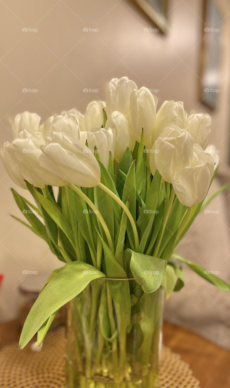 White Tulips 