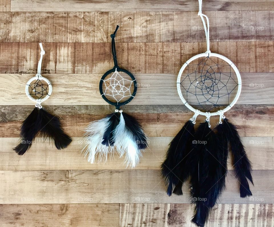 Dream Catchers 