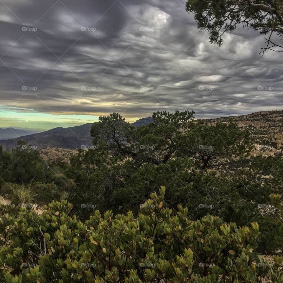 Mountain Cloudscape 