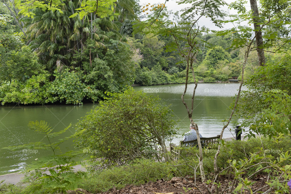 Nice scenery at the lake