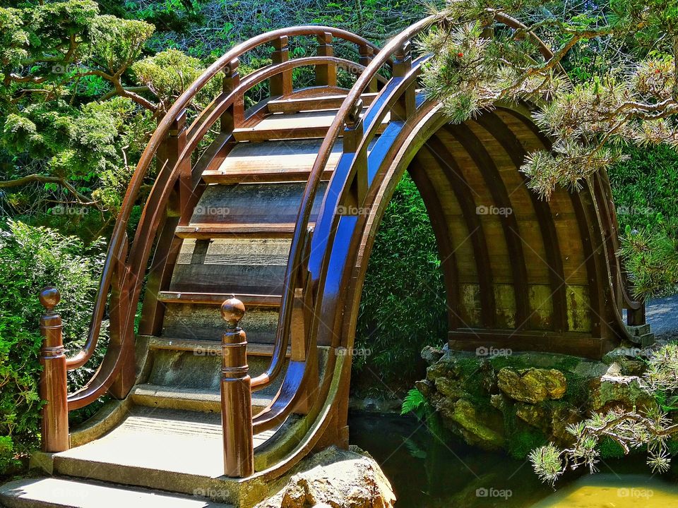 Sloped Japanese Bridge. Steeply Sloped Bridge In Japanese Tea Garden
