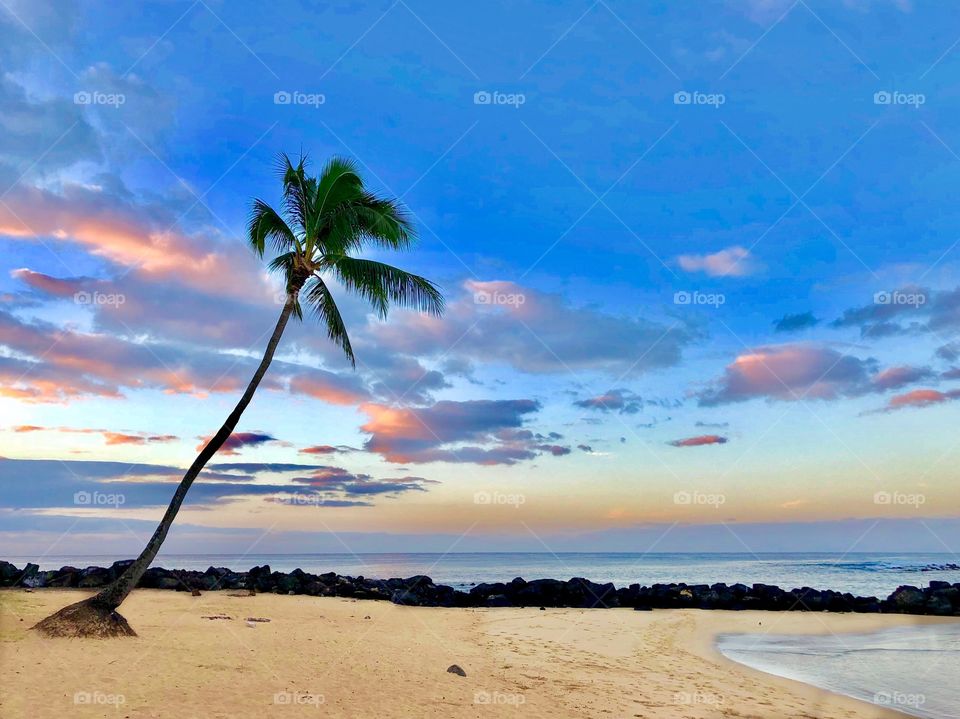 The clouds fill with color behind a lone palm tree as the sun rises on a quiet Kauai beach 