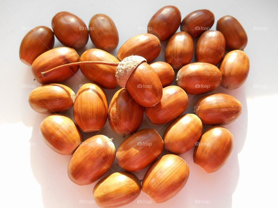 heart acorns