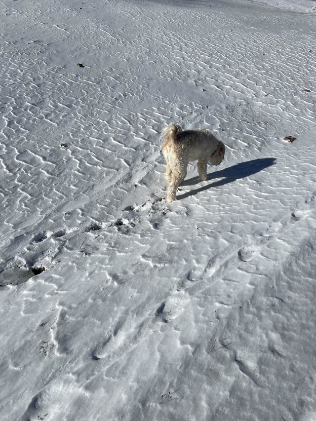 On the hunt 