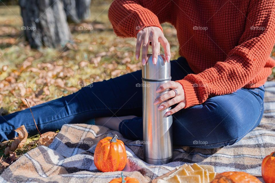 picnic in the park