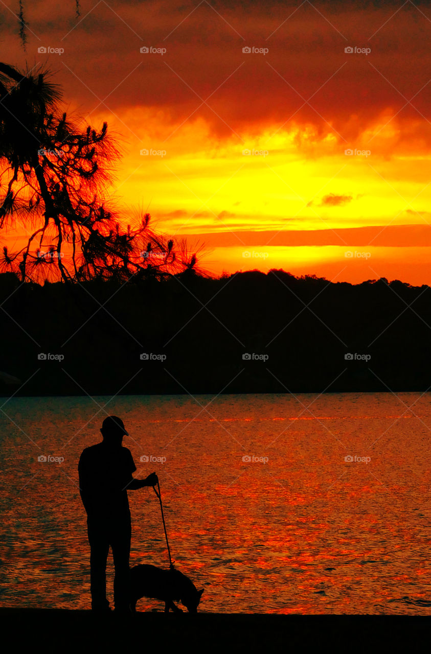 Senior man walks his dog in the park during sunset