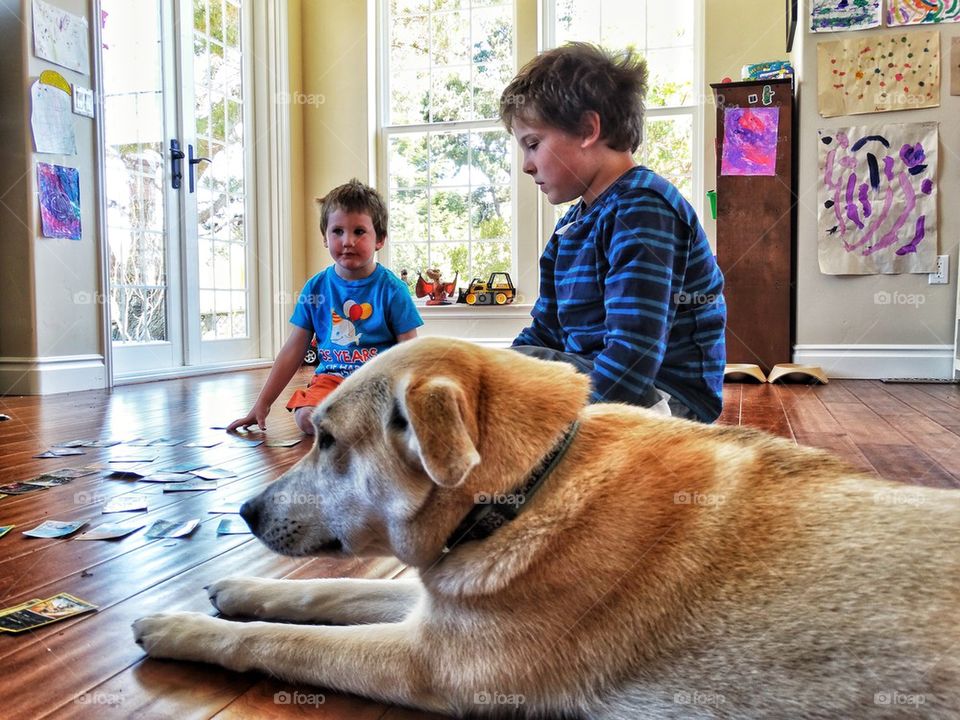 Kids At Home With The Family Dog
