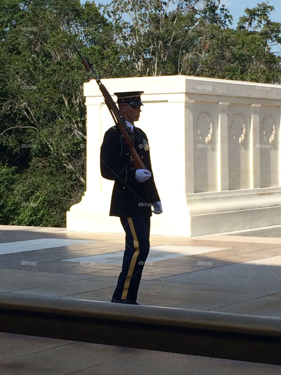 Guarding the Tomb of the Unknowns 