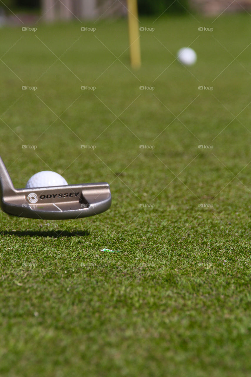 A golfer putts  a golf ball on the green