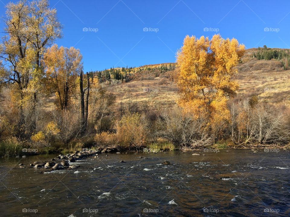 Yampa river 