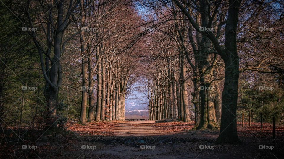 Took this gorgeous picture in the woods🌲❤️📍