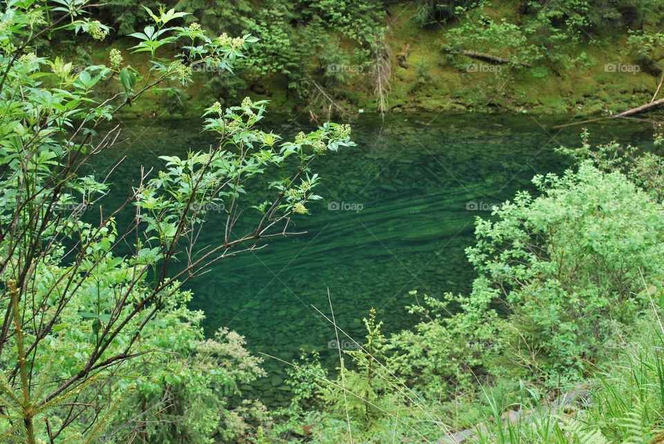 Summer Carpathian Mountains. A mountain lake 