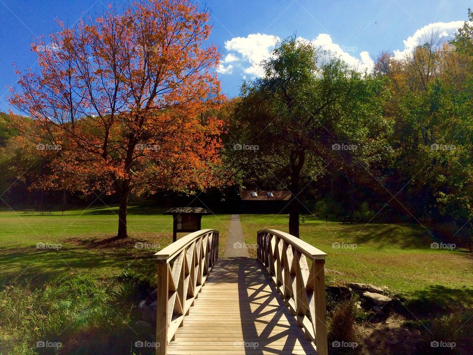 High angle view of footbridge