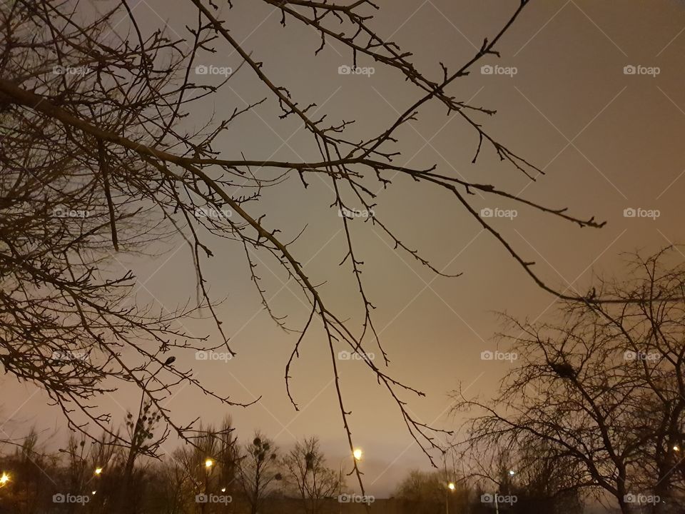 night sky in the city