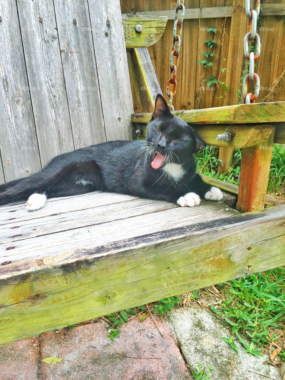 Yawn! Why did you wake me?