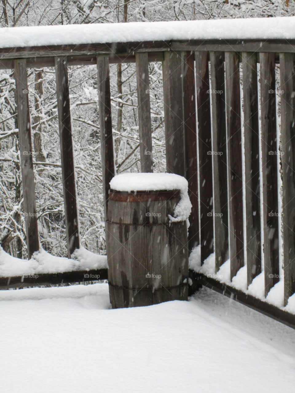 snow pretty white scenery by ashley77