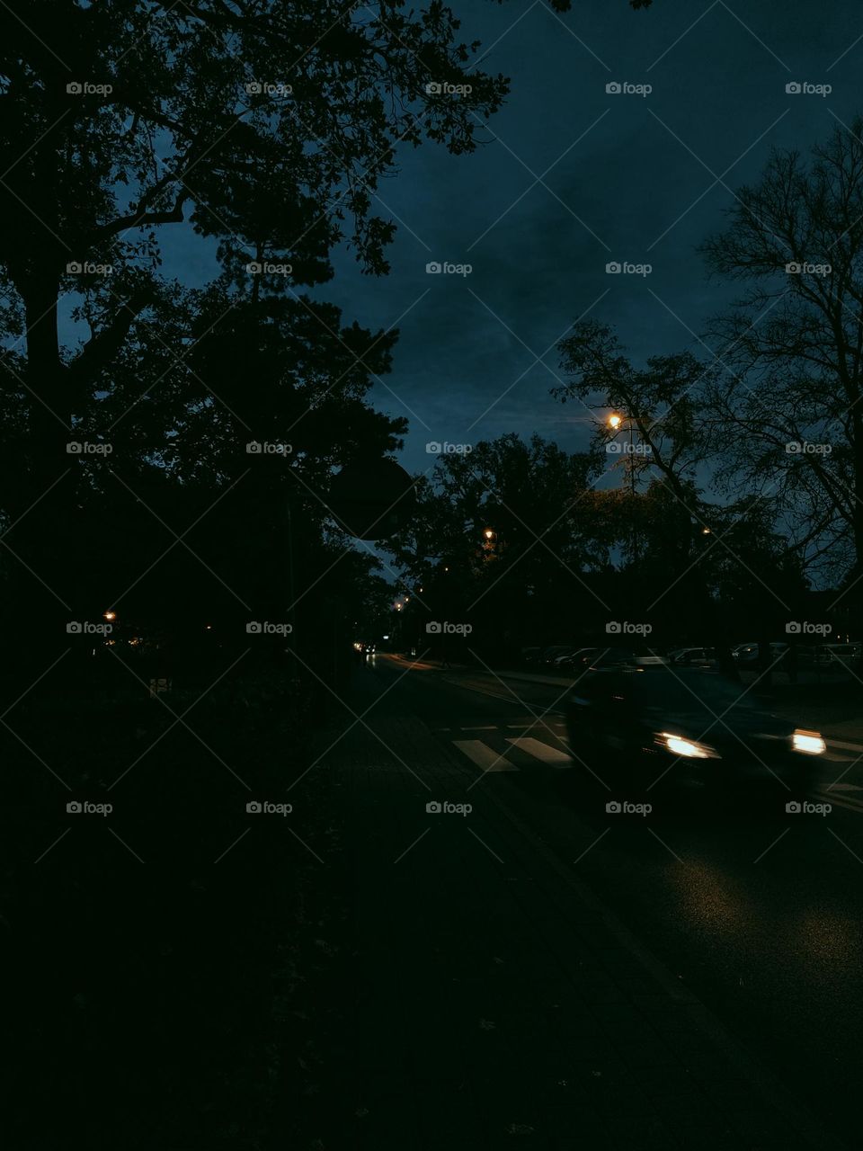 beautiful view from the park to the main road