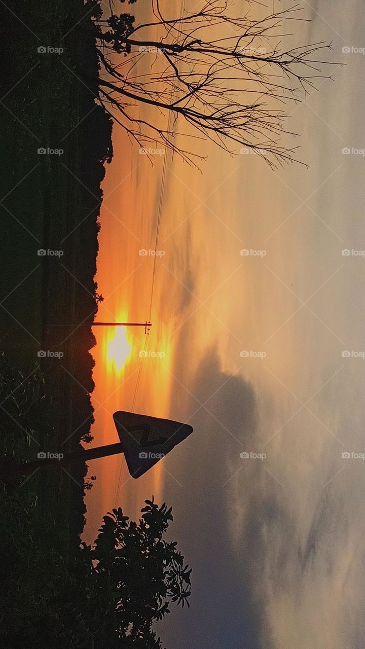 A beautiful sunset with shadow of a dried tree and a board in village