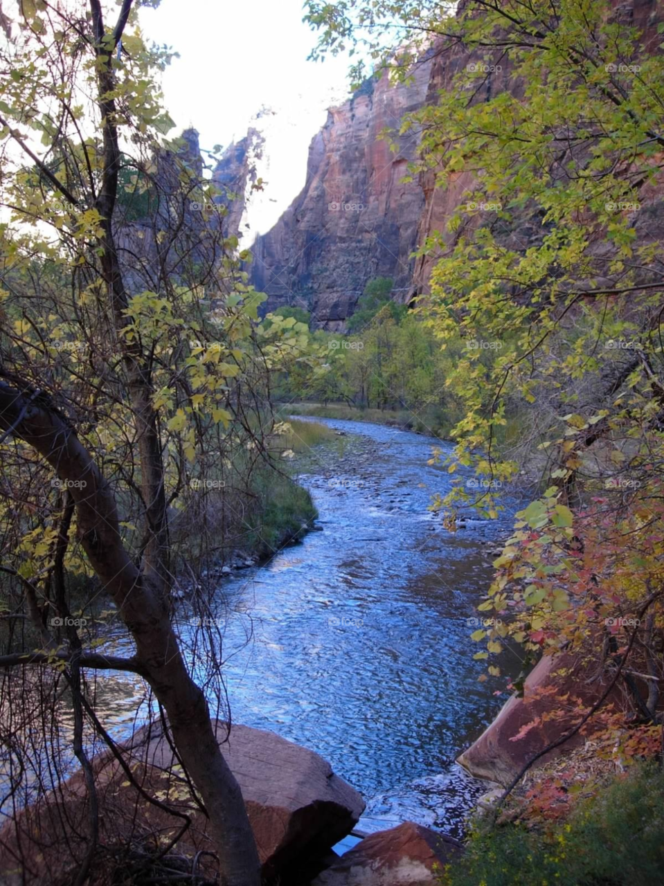 nature water stream utah by micheled312