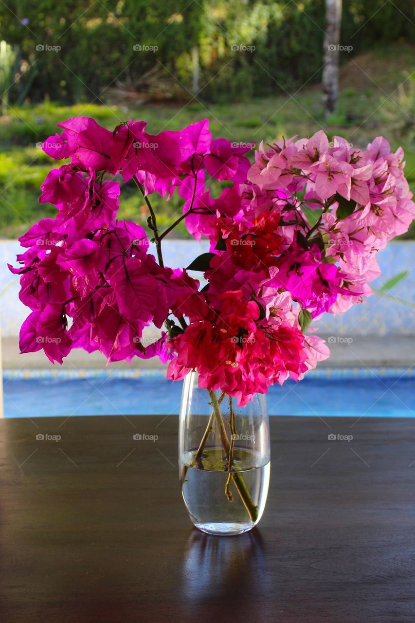 A bouquet of pink and purple Bougainvillea on the table in a glass vase.  Romantic decoration