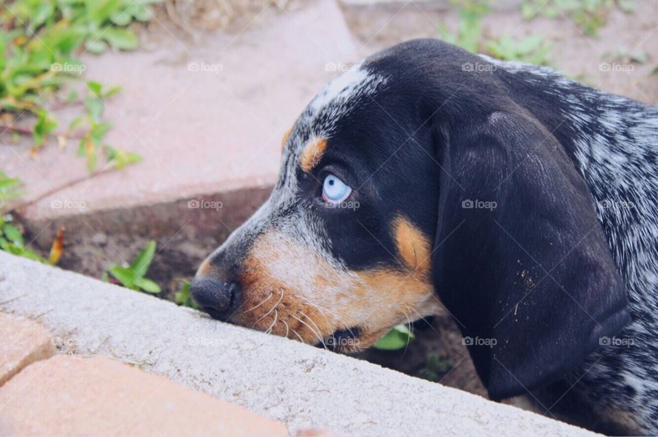 Blue eyed babe