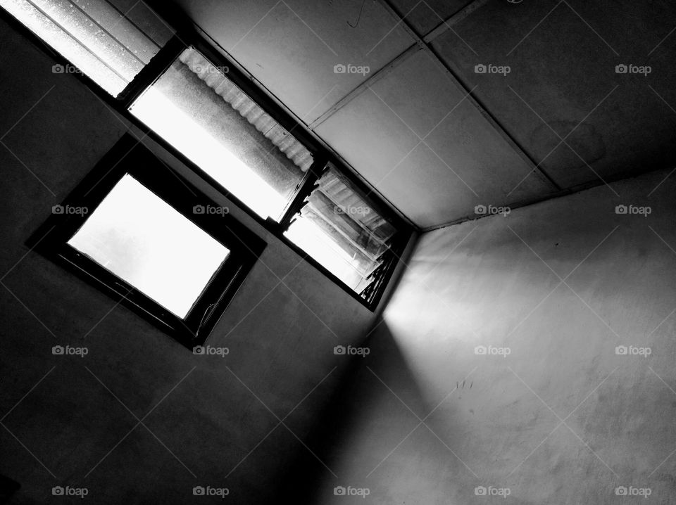 There is life behind the window