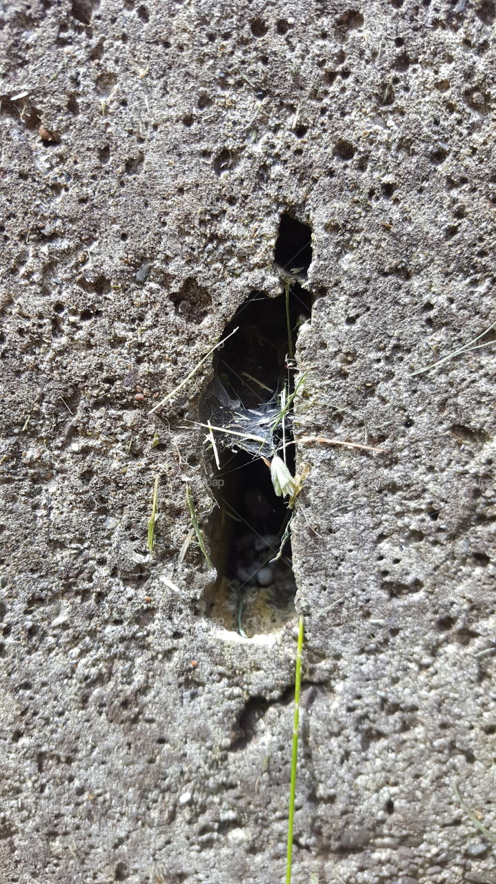 all in all, just another crack in the wall