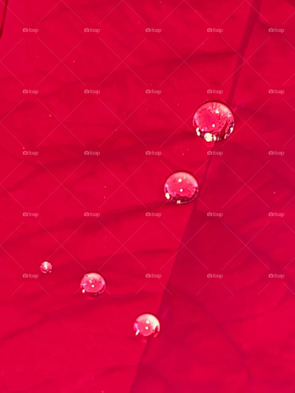 Drops