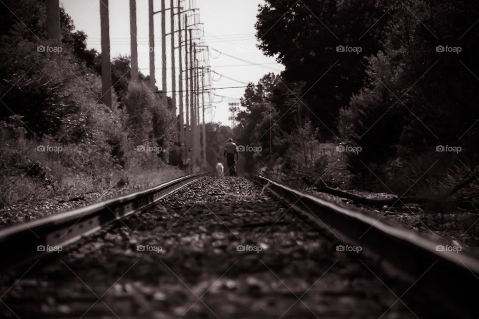 A man walking on railroad tracks with his dog