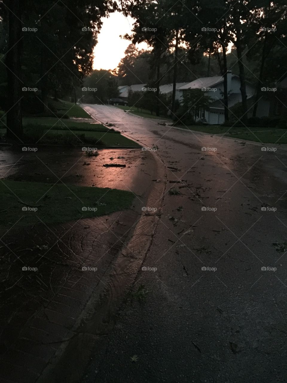 My Street After a Rain