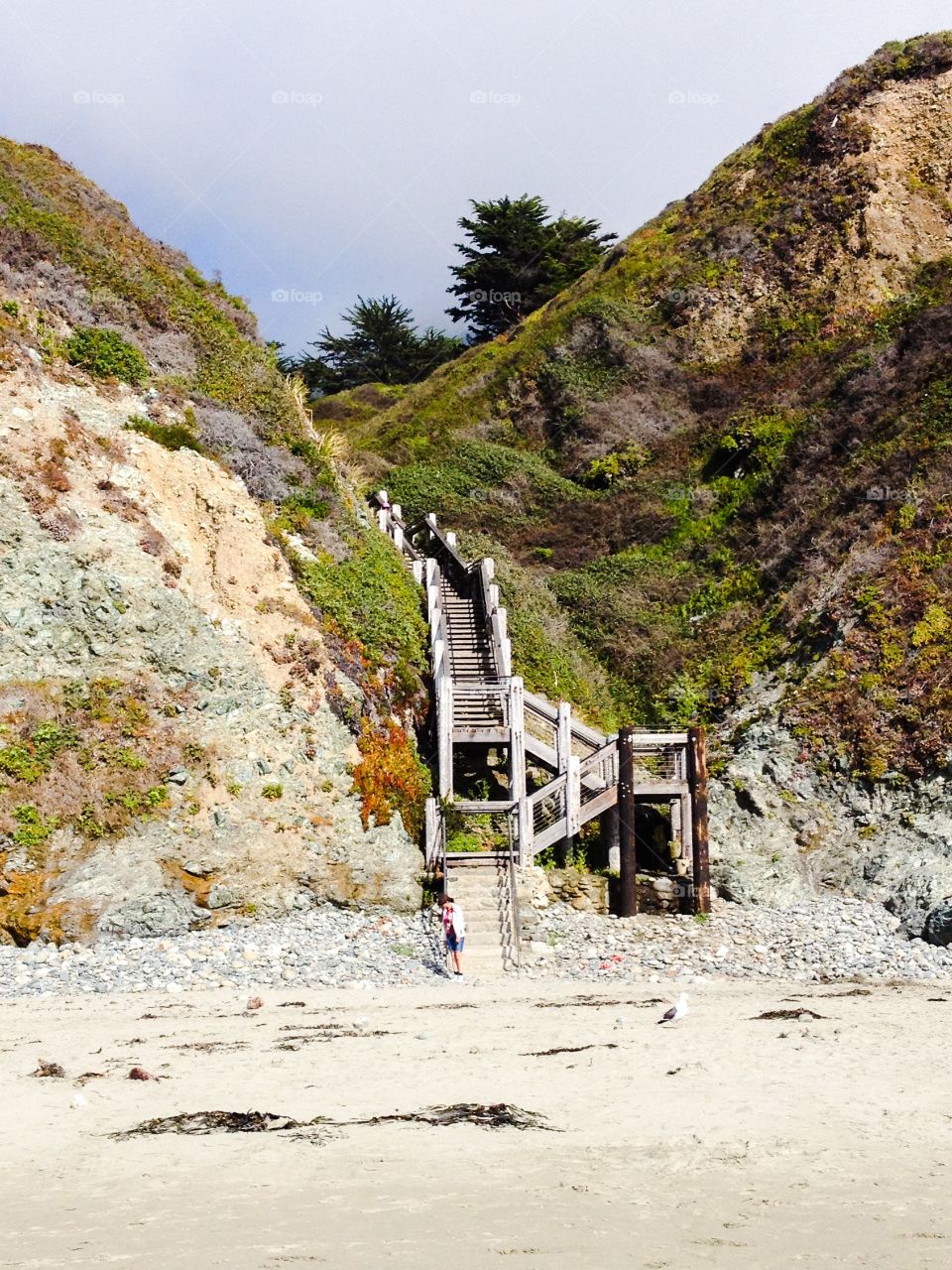 Beach steps