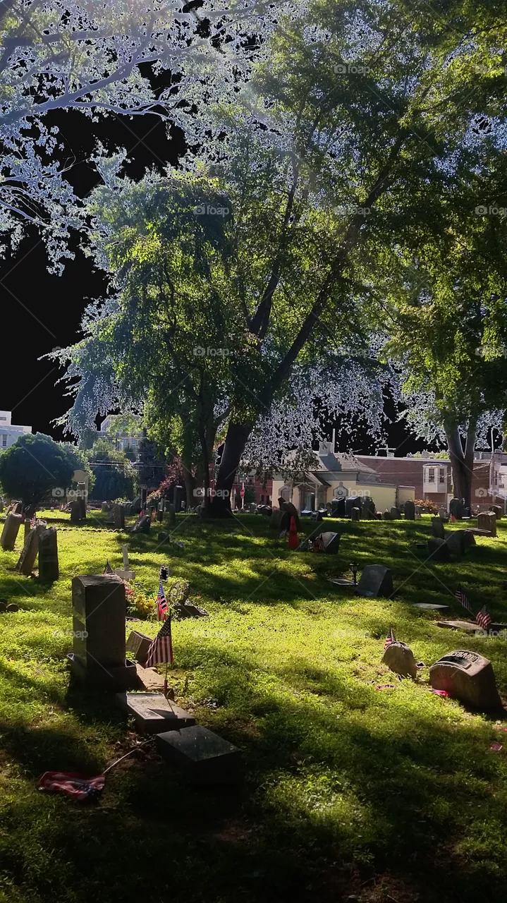 Cemetery
