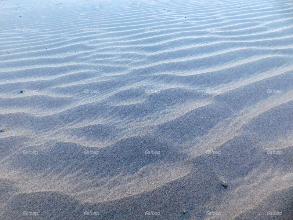 Rippled sand dunes in desert