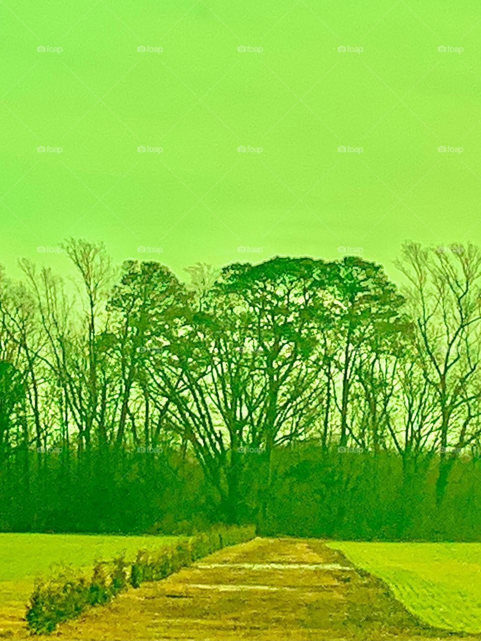 Green sky