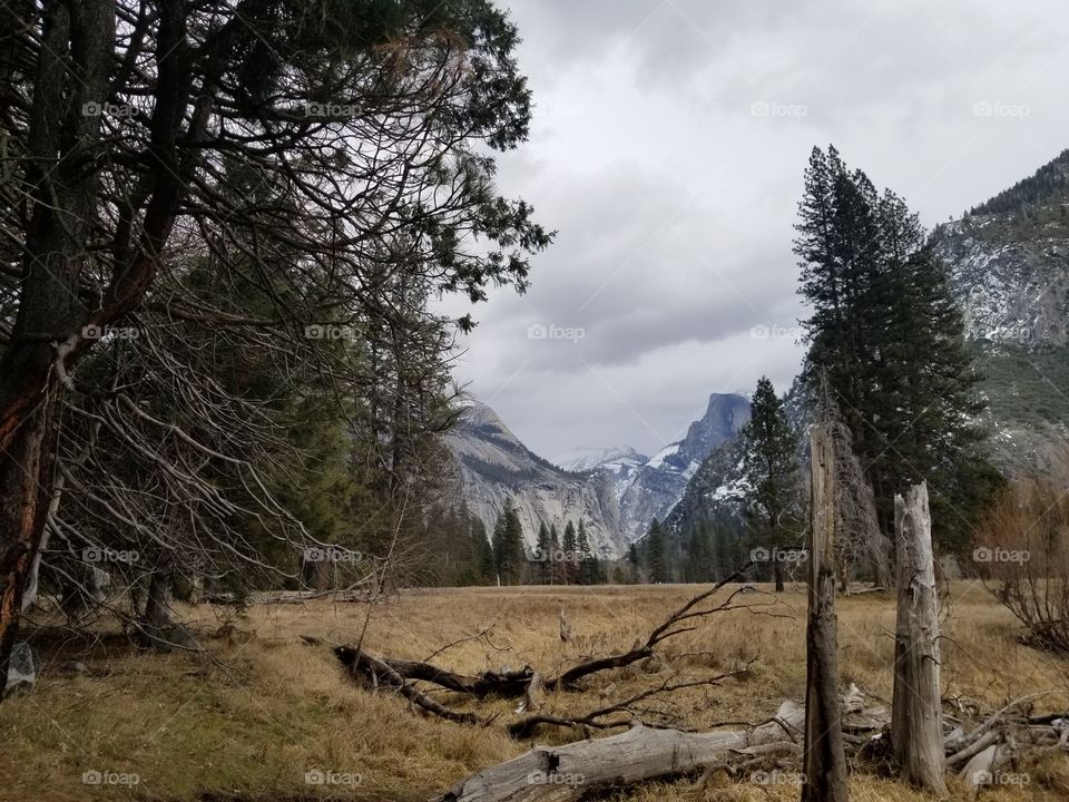 Snowless winter in Yosemite