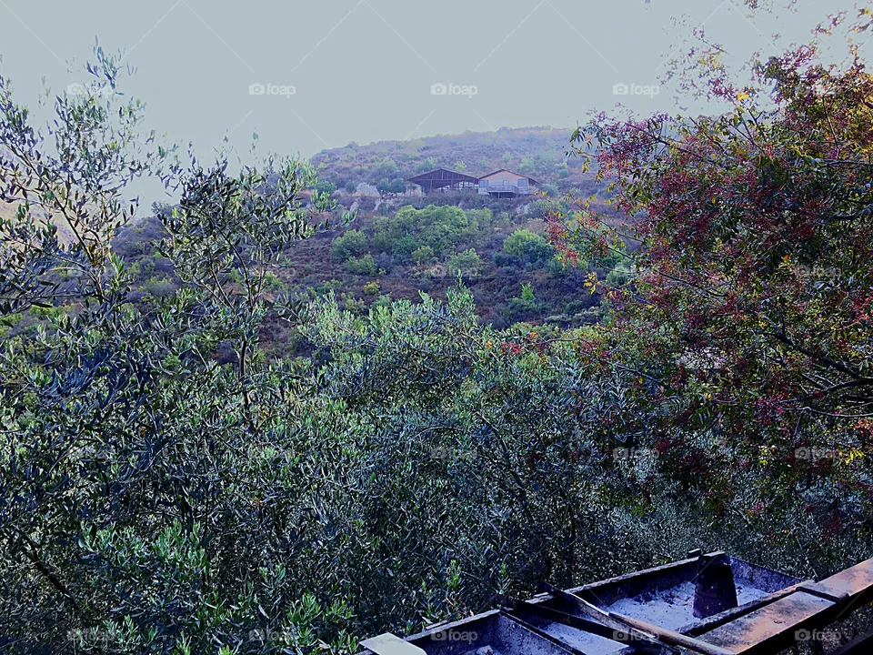 Valley view 