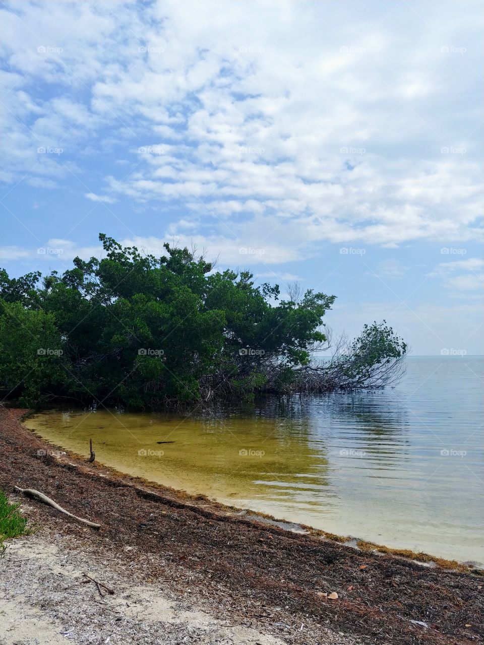 Long Key State Park, Florida