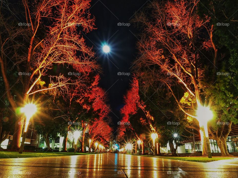 The University of New South Wales, Sydney, Australia, celebrates NAIDOC Week by lighting the University Mall thoroughfare with red and orange lights. The event commemorates and respects Indigenous Australians as traditional owners of the land.