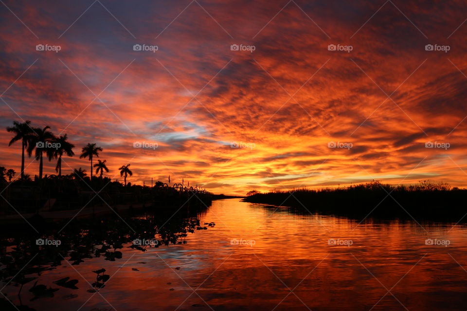 Silhouette of trees with dramatic sky