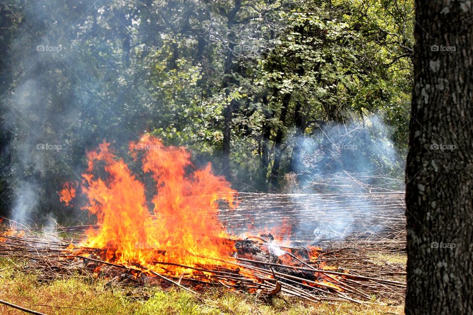 Grass Fire