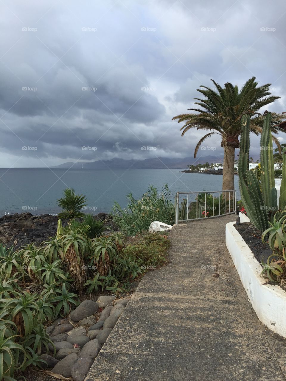 Puerto del Carmen Islas Canarias 